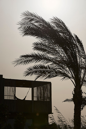 drz_casa-cook-elgouna_35895
