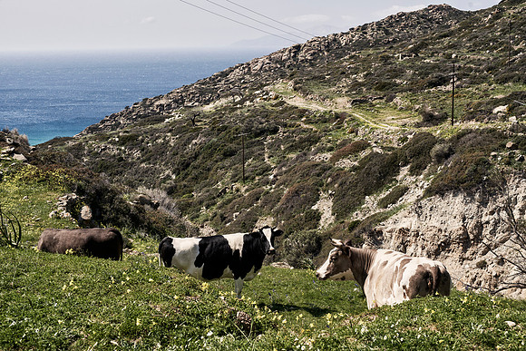 drz-ios island_DRZ2202