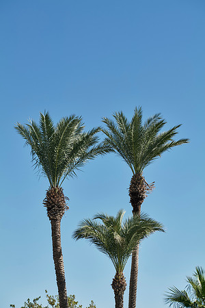 drz_esperia group_2025_5_244191