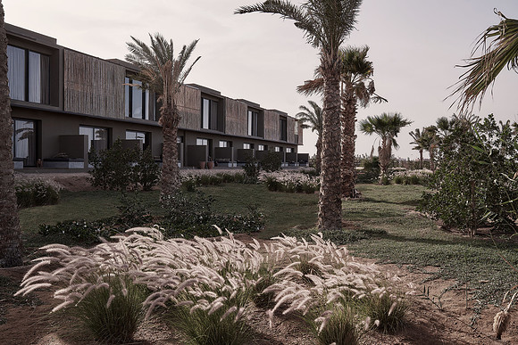drz_casa-cook-elgouna_3575