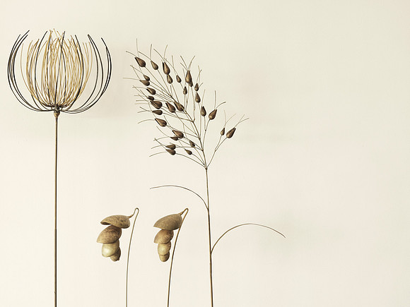 liostasi_4466