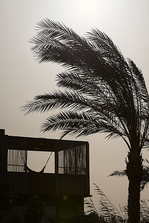 drz_casa-cook-elgouna_35895