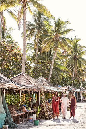 drz_orascom_DIM4335