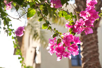 dawar_0026