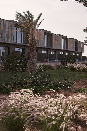 drz_casa-cook-elgouna_3578
