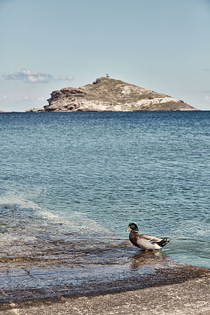 drz-tinos__Q1A0842