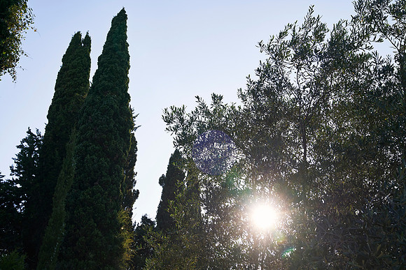 drz_spiritual corfu_22293