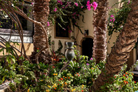 dawar_0217
