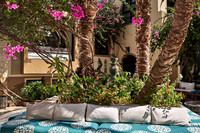 dawar_0224