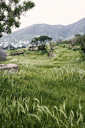 drz-ios island_DRZ2000
