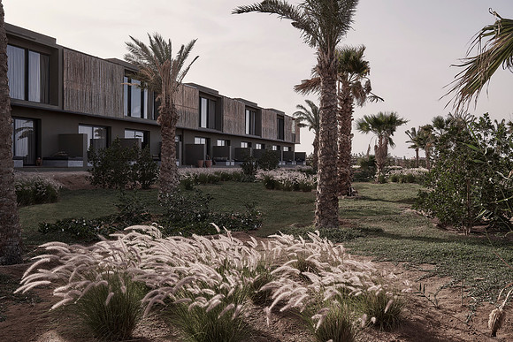 drz_casa-cook-elgouna_3575