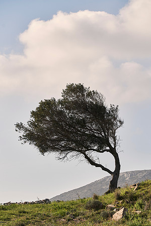 drz-ios island_DRZ2583
