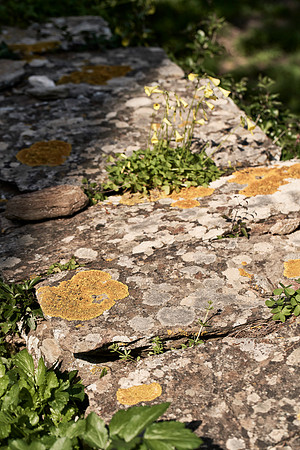 drz-ios island_DRZ2134