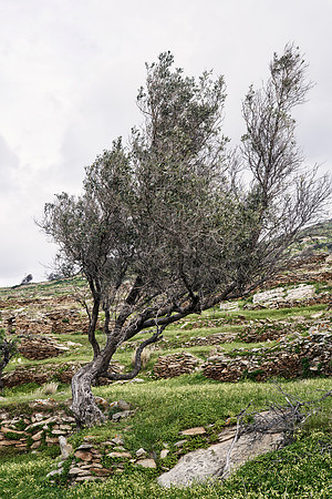 drz-ios island_DRZ2006