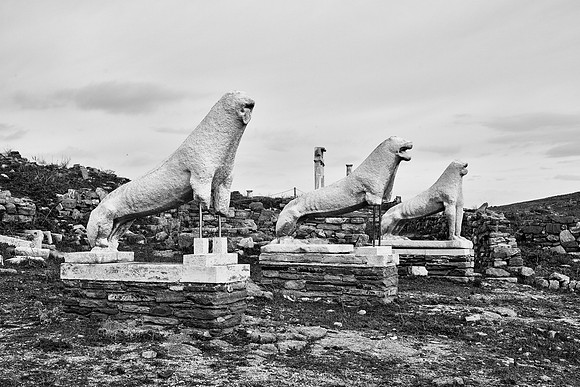 drz-delos_Q1A2865