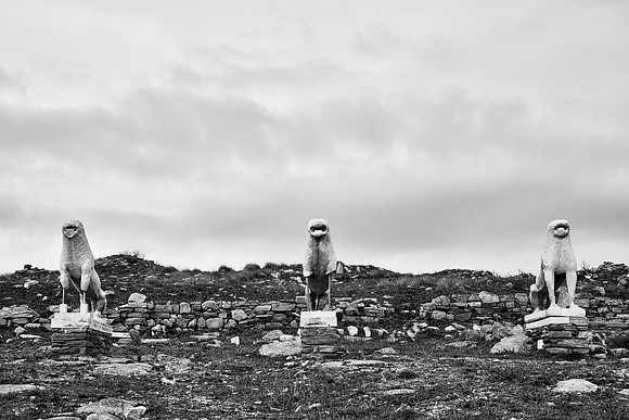 drz-delos_Q1A2870