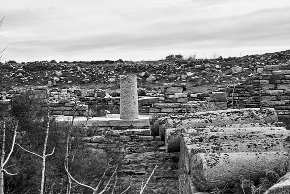 drz-delos_Q1A2884