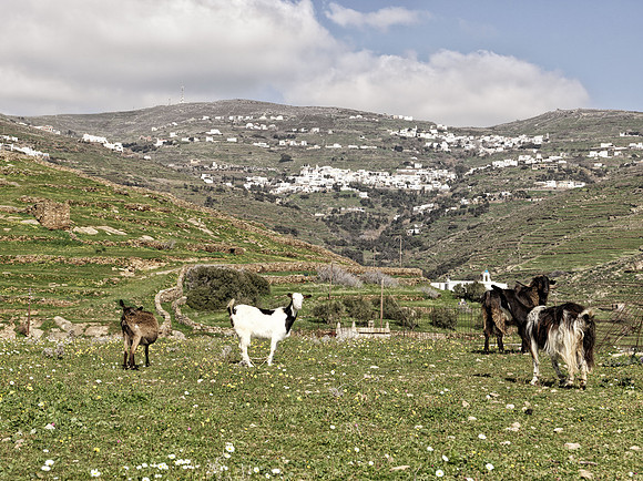 drz-tinos-island_B_2581