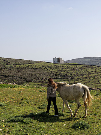 drz-tinos-island_B_2560
