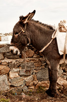 drz-mykonos_Q1A1865
