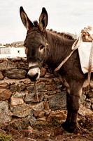 drz-mykonos_Q1A1864