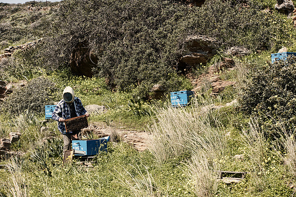 drz-ios island_Q1A6079
