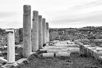 drz-delos_Q1A2888