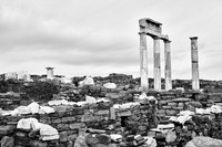 drz-delos_Q1A2871