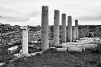 drz-delos_Q1A2886