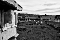 drz-delos_Q1A2854