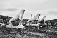drz-delos_Q1A2865