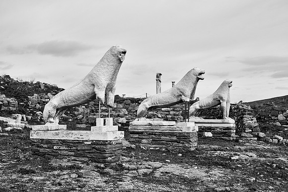 drz-delos_Q1A2865