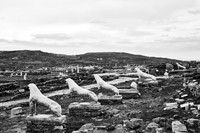drz-delos_Q1A2878