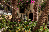 dawar_0217