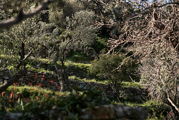 drz-ios island_DRZ2132