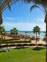 club paradisio__4097