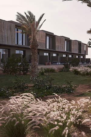 drz_casa-cook-elgouna_3578