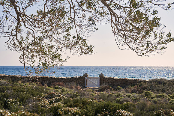 drz-ios island_DRZ2733
