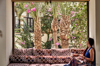 dawar_0237