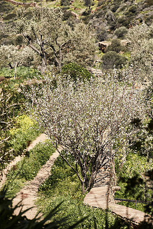 drz-ios island_Q1A6019