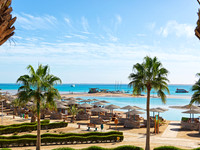 club paradisio__4093