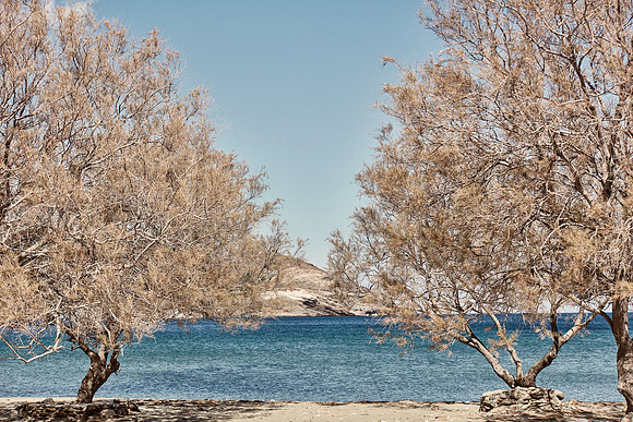 drz-tinos__Q1A0810