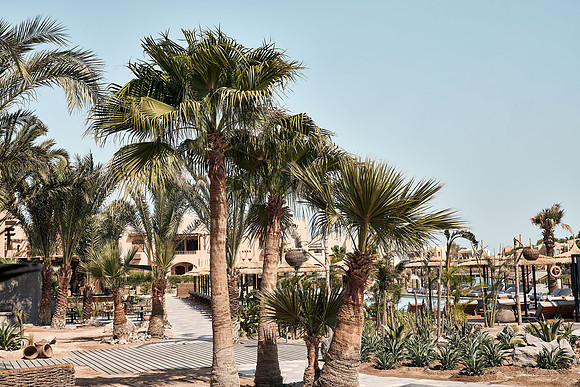 drz_cook'sclub-elgouna_09653