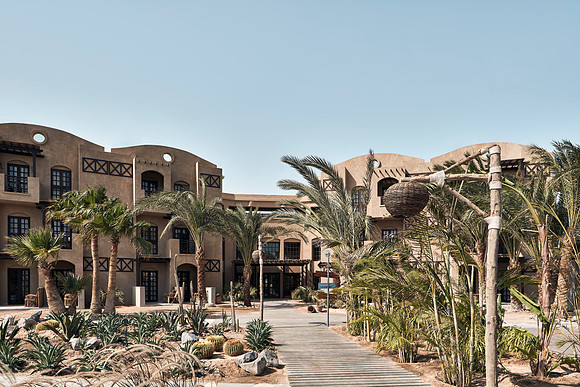 drz_cook'sclub-elgouna_09648 1