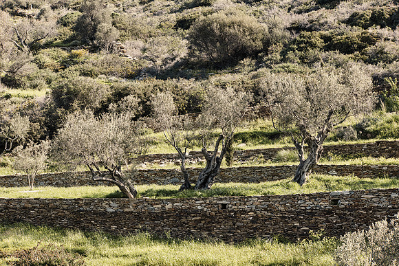 drz-ios island_Q1A6010