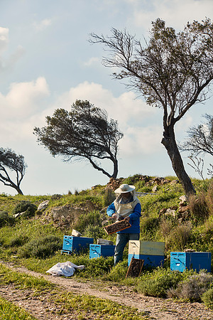 drz-ios island_Q1A6296