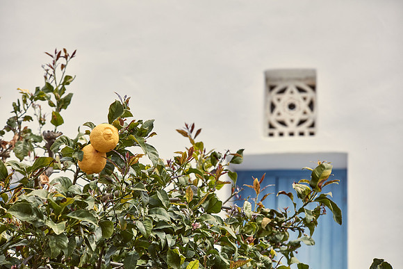 drz-tinos__Q1A0984