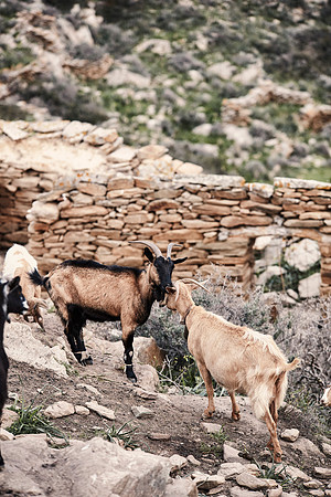 drz-ios island_Q1A5996