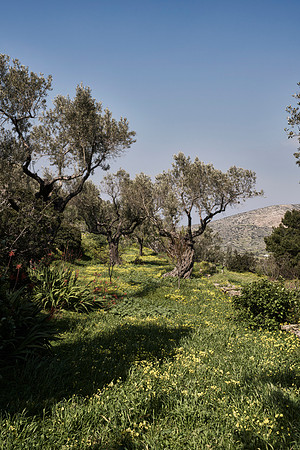 drz-ios island_DRZ2194
