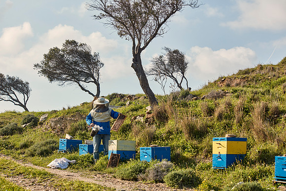 drz-ios island_Q1A6302